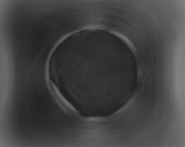 X0000100890894200807081038