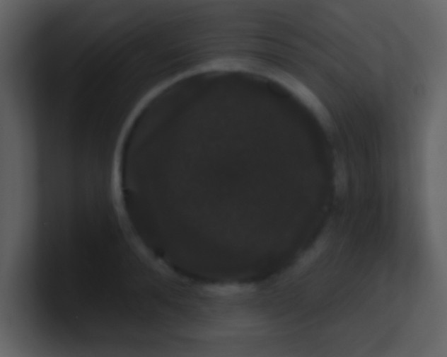 X0000100890896200807081038