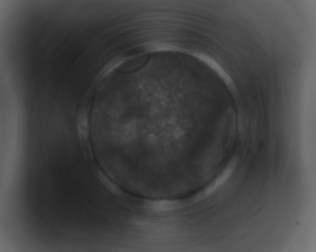 X0000100890897200807081038