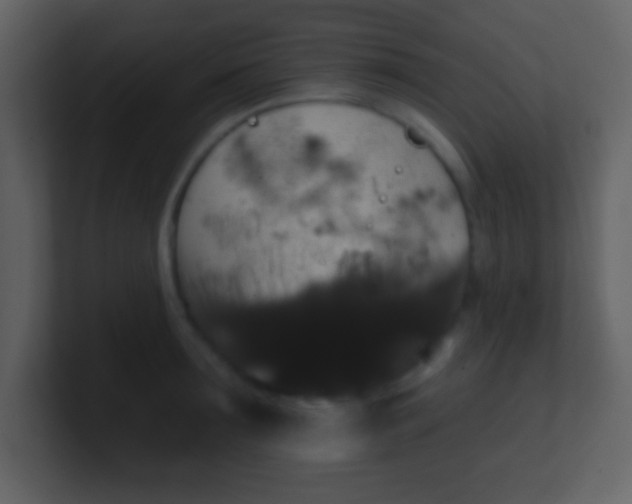 X0000100890899200807081038