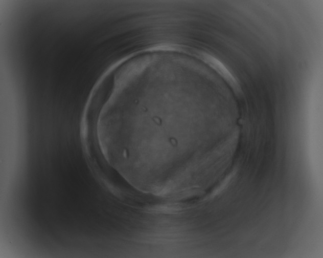 X0000100890900200807081038