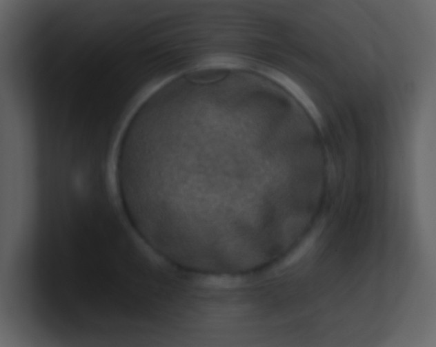 X0000100890901200807081038