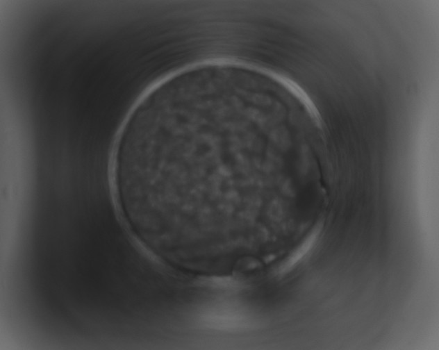 X0000100890903200807081038