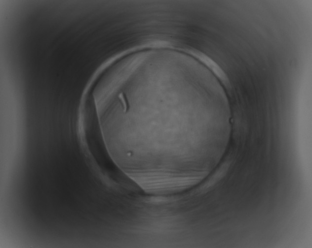 X0000100890904200807081038