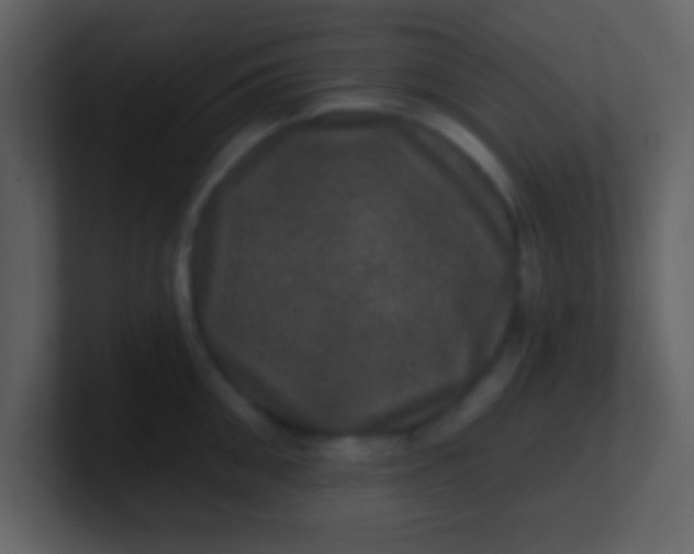 X0000100890906200807081038