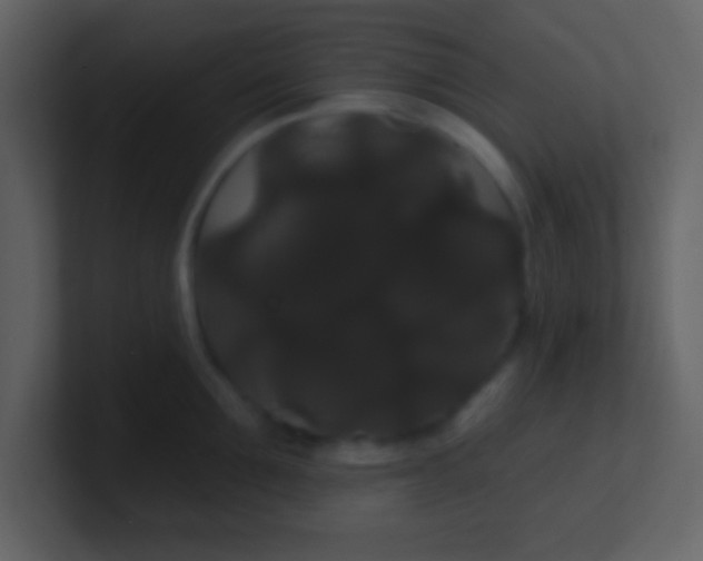 X0000100890907200807081038