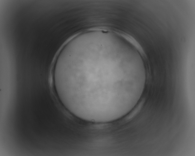 X0000100890908200807081038