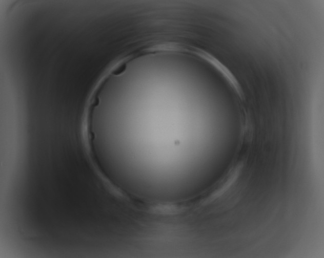 X0000100890909200807081038