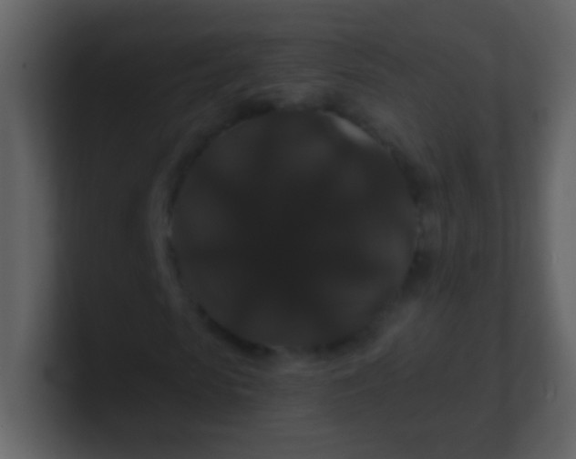 X0000100890913200807081037