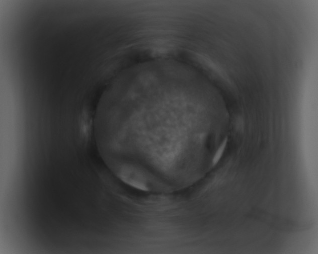 X0000100890914200807081037