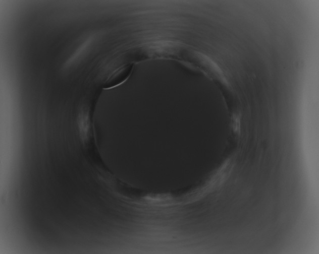 X0000100890915200807081037