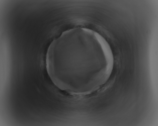 X0000100890916200807081037