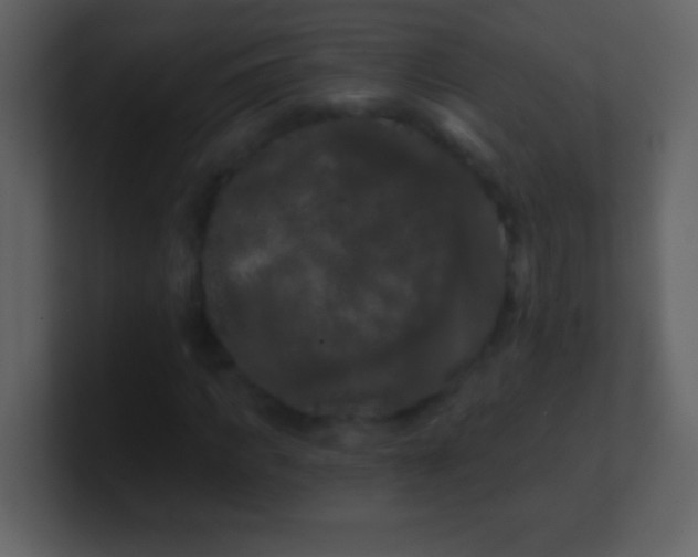 X0000100890917200807081037