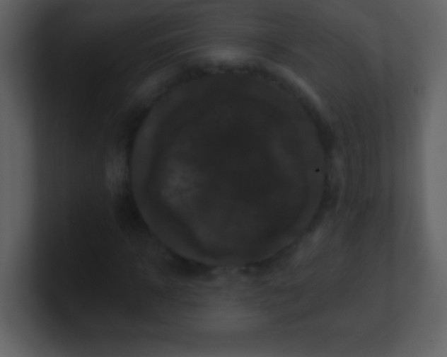 X0000100890918200807081037