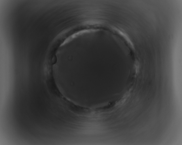 X0000100890920200807081038