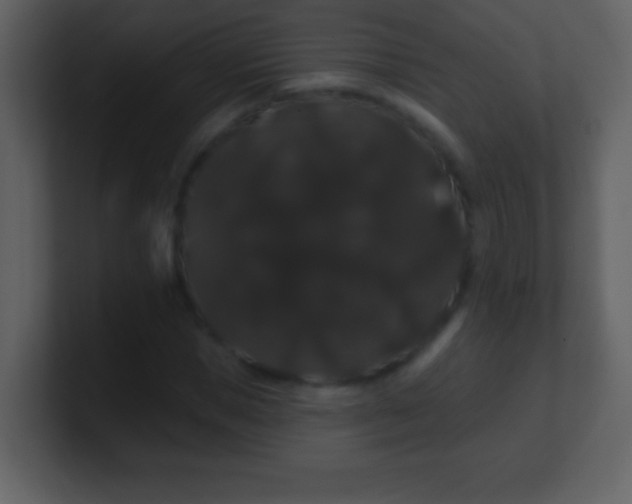 X0000100890921200807081038