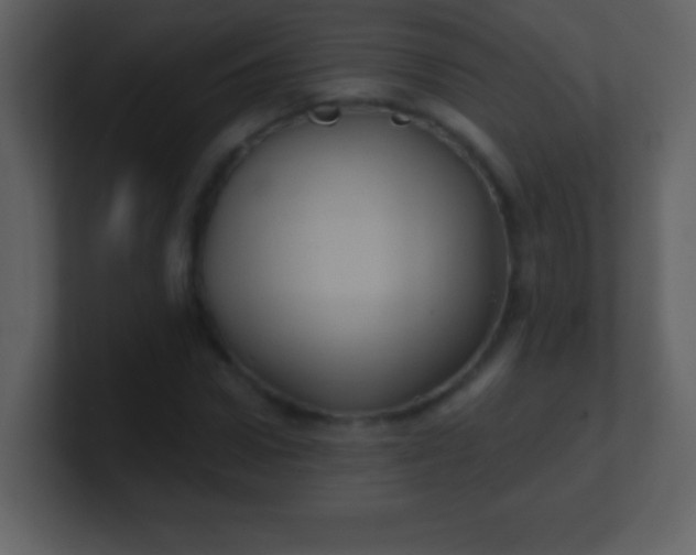 X0000100890922200807081038