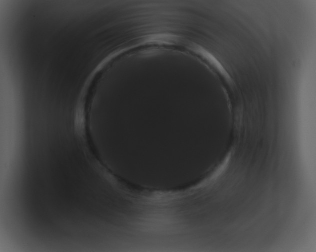 X0000100890923200807081038