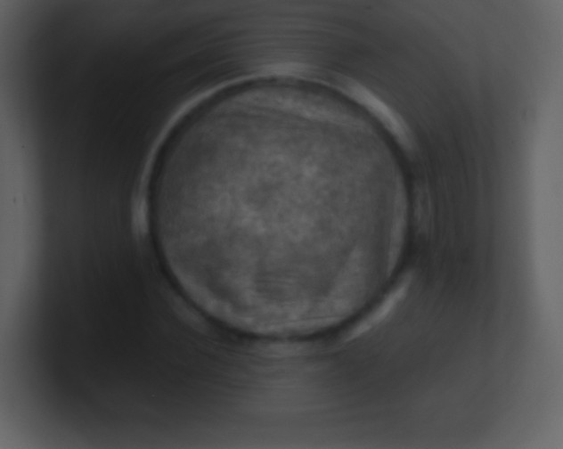 X0000100890924200807081038