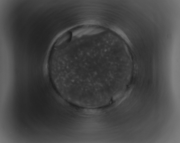 X0000100890928200807081038