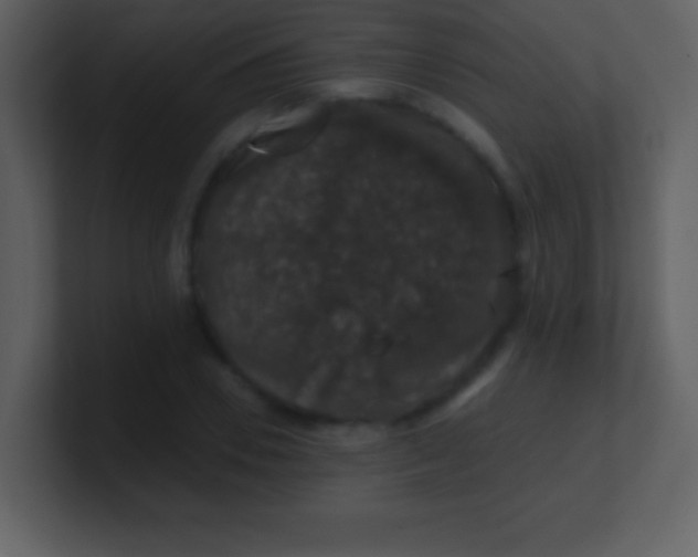 X0000100890930200807081038