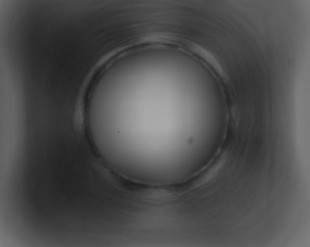 X0000100890931200807081038