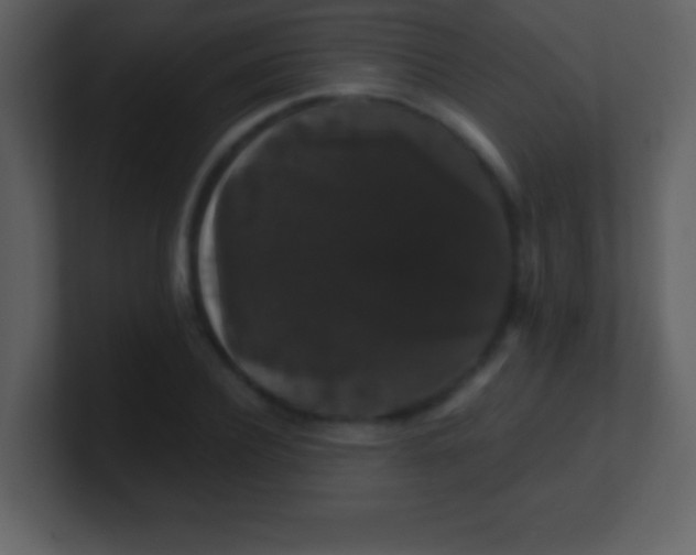 X0000100890932200807081038