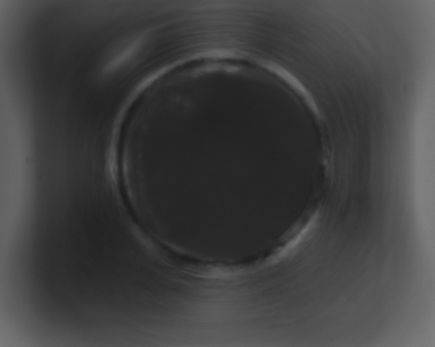 X0000100890935200807081038