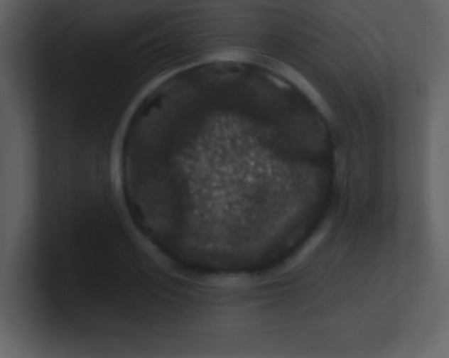 X0000100890939200807081038