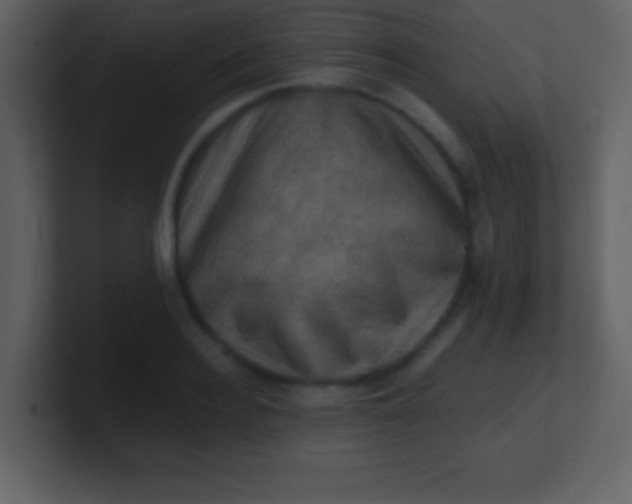 X0000100890940200807081038