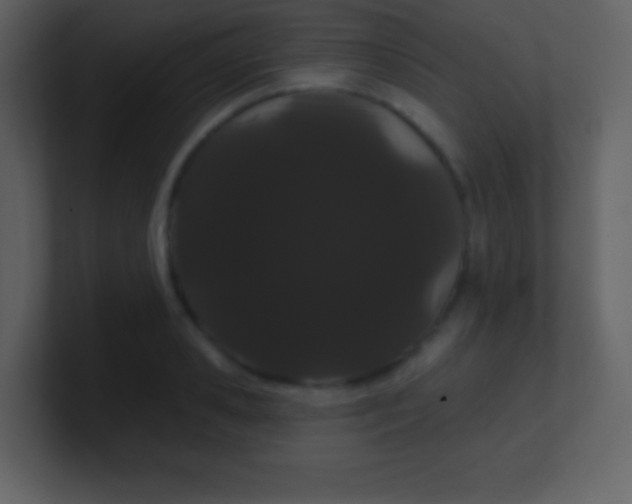 X0000100890941200807081038