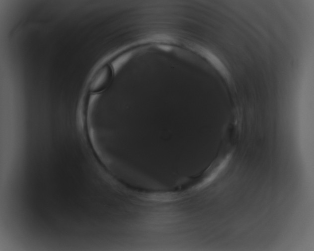 X0000100890944200807081038