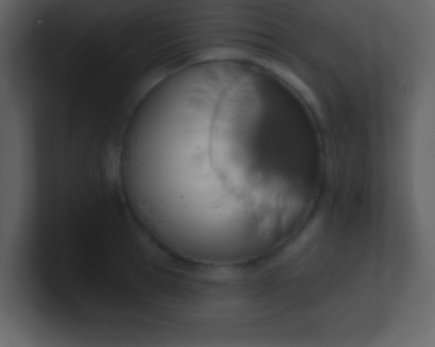 X0000100890945200807081038