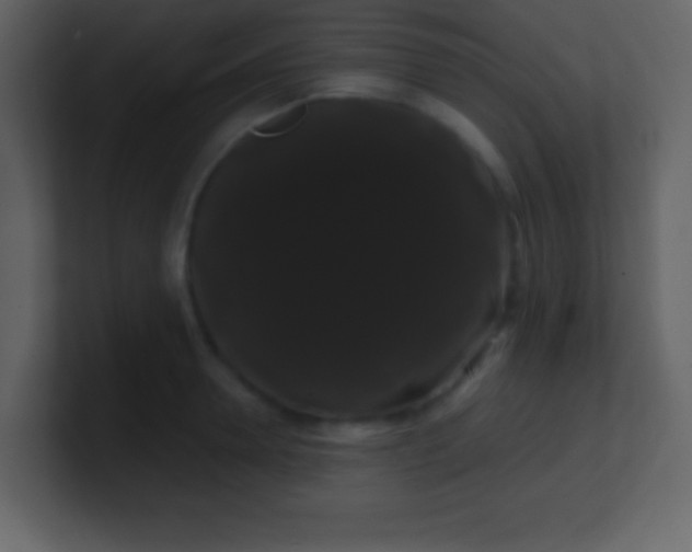 X0000100890946200807081038