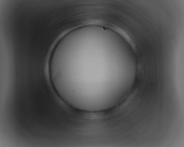 X0000100890947200807081038