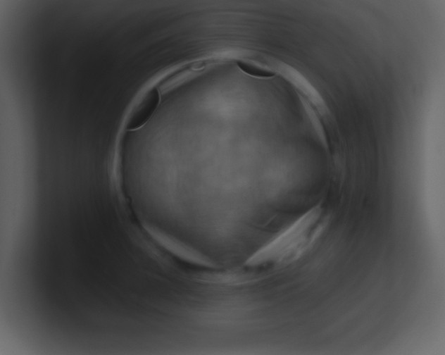 X0000100890948200807081038