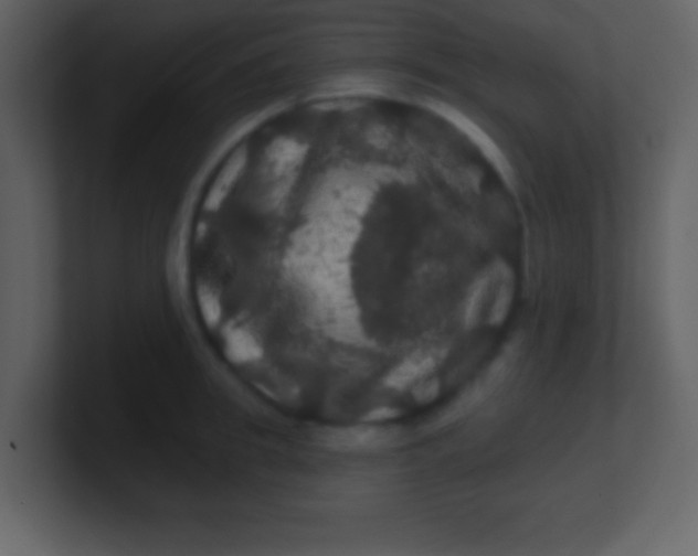 X0000100890949200807081038