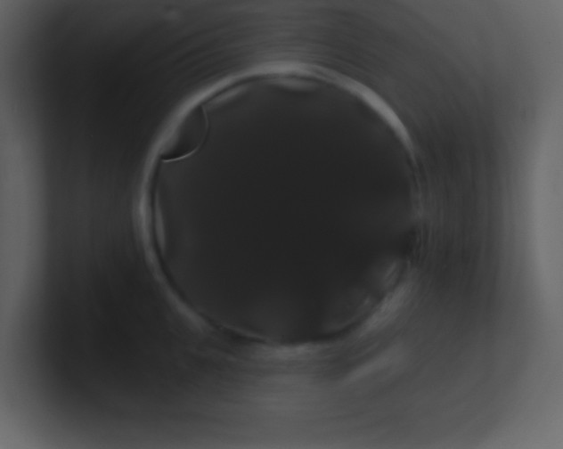 X0000100890951200807081038