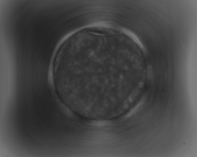 X0000100890952200807081038