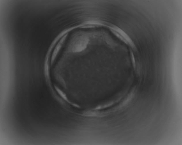 X0000100890955200807081038