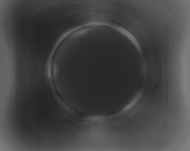 X0000100890958200807081038