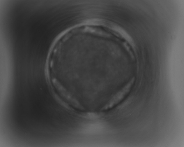 X0000100890960200807081038