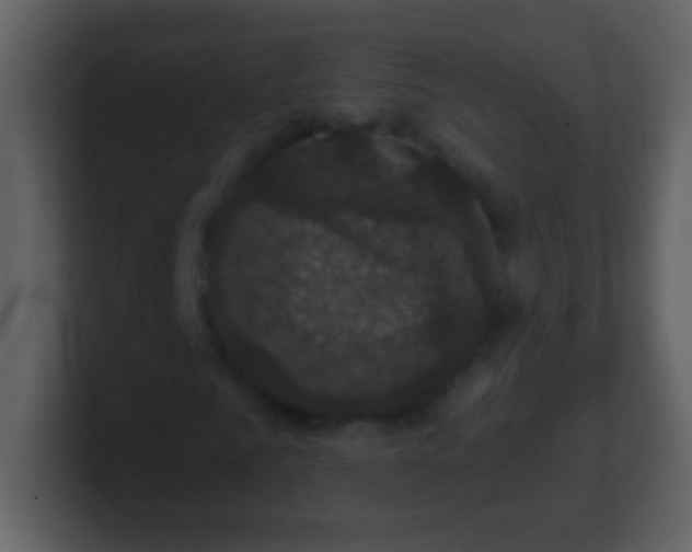 X0000100890961200807081037