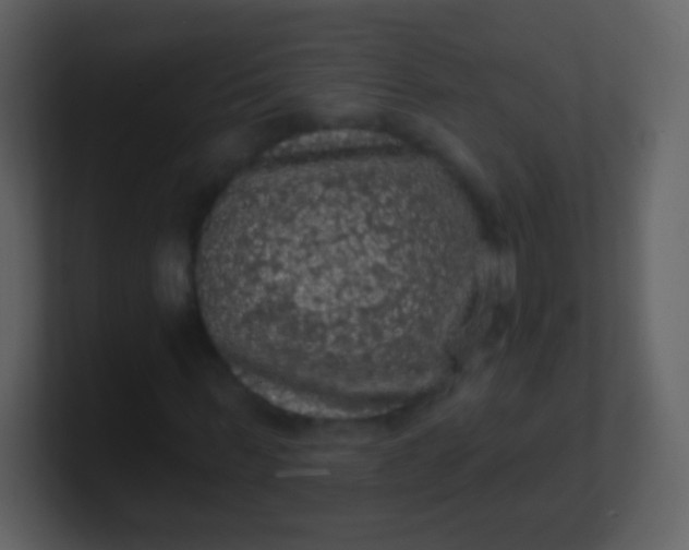 X0000100890963200807081037