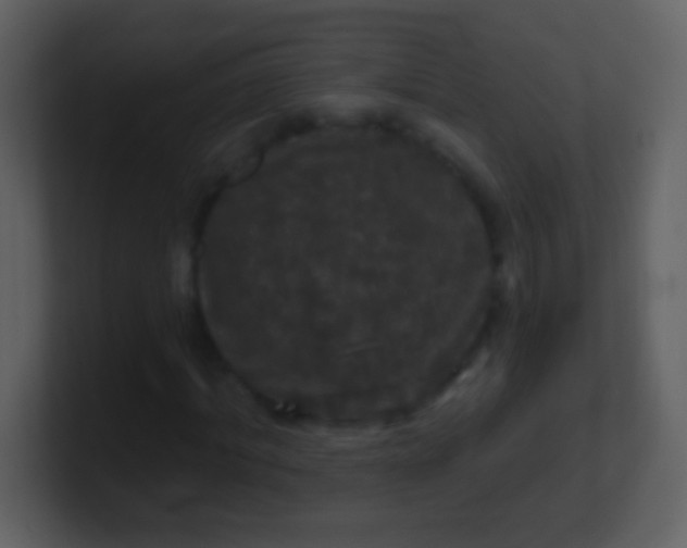 X0000100890964200807081037