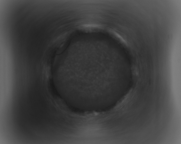 X0000100890965200807081037