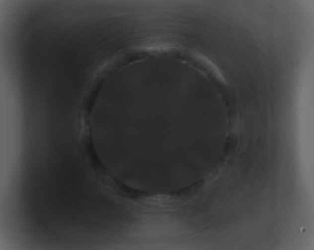 X0000100890966200807081037