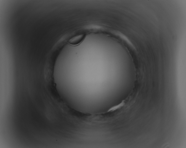 X0000100890967200807081037