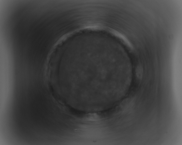 X0000100890968200807081037