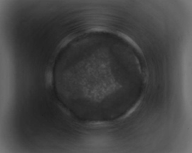 X0000100890969200807081037